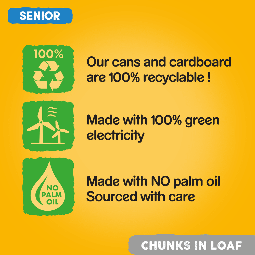 Pedigree | Senior Wet Dog Food Tins | Variety in Loaf - 6 x 400g