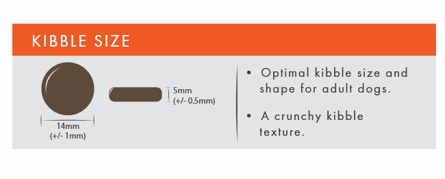 Kibble size chart with measurements and text on a gray background