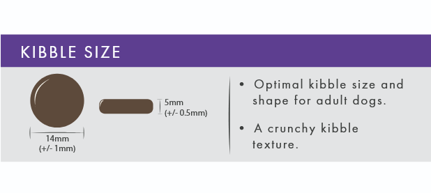 Kibble size chart with text and measurements on a purple and gray background