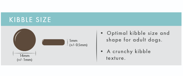 Haddock with Sweet Potato & Parsley | Hypoallergenic Dry Dog Food | Grain Free by Pet Connection