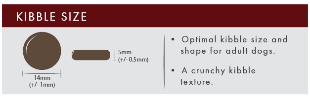 Kibble size chart with measurements and text about optimal kibble size for adult dogs.