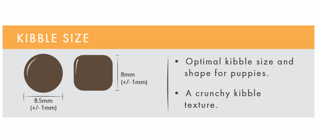 Chicken & Sweet Potato (Puppy) | Hypoallergenic Dry Dog Food | Grain Free by Pet Connection