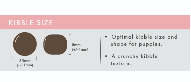 Salmon & Haddock (Puppy) | Hypoallergenic Dry Dog Food | Grain Free by Pet Connection