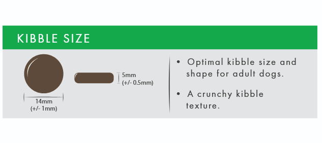 Kibble size chart for adult dogs with measurements and text description.