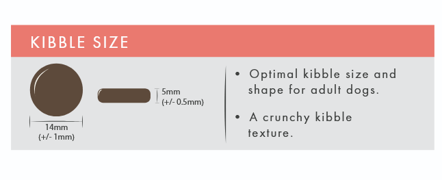 Image of kibble size for dog food
