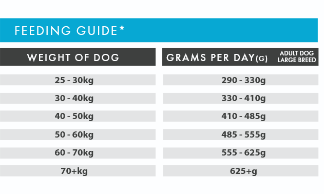 Feeding guide for adult dogs of different weight ranges on a white background