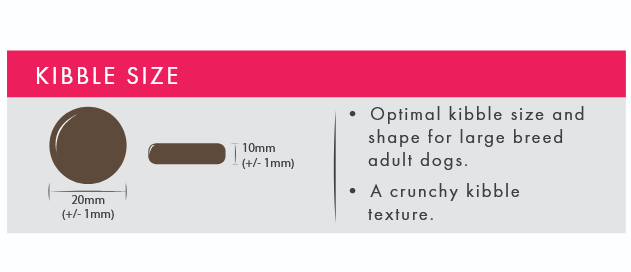 Kibble size chart for large breed adult dogs with measurements and text description.