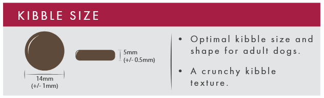 Kibble size chart with measurements and description for adult dogs on a red and gray background.