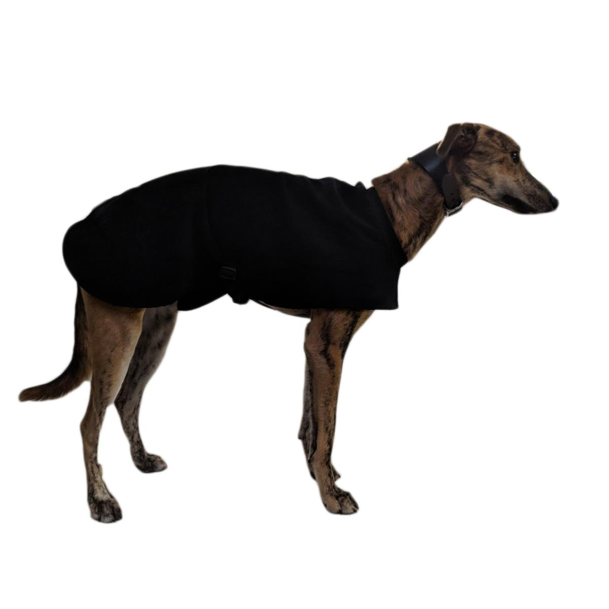 Equafleece Dog Coat Hotterdog Coats Pet Connection petconnection.ie