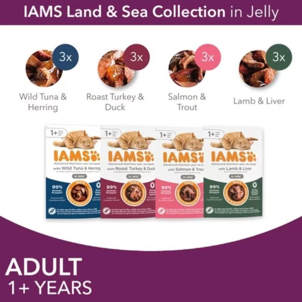 Iams Cat Delights Land & Sea In Jelly 12pk