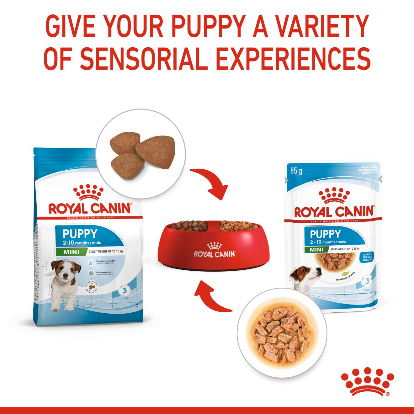 Royal Canin | Size Health Nutrition Wet Dog Food | Mini Puppy - 85g