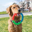 KONG Twistz Ring Small Dog Toy