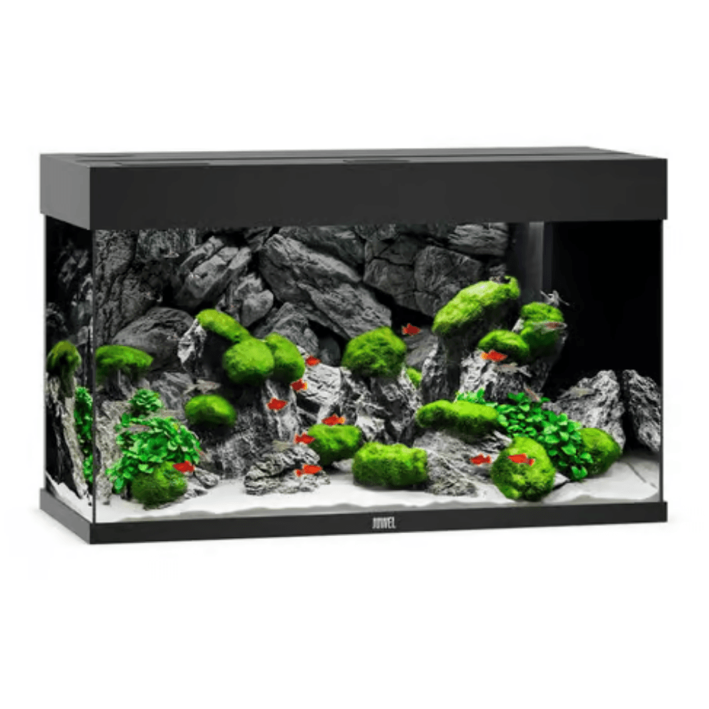 Juwel Rio 125 LED Aquarium Black