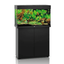 Juwel Rio 125 LED Aquarium Black