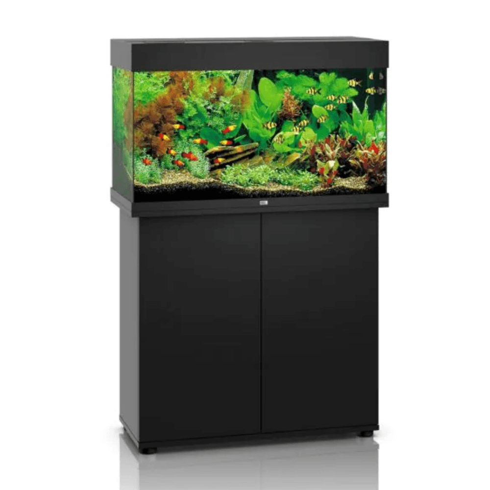 Juwel Rio 125 LED Aquarium Black