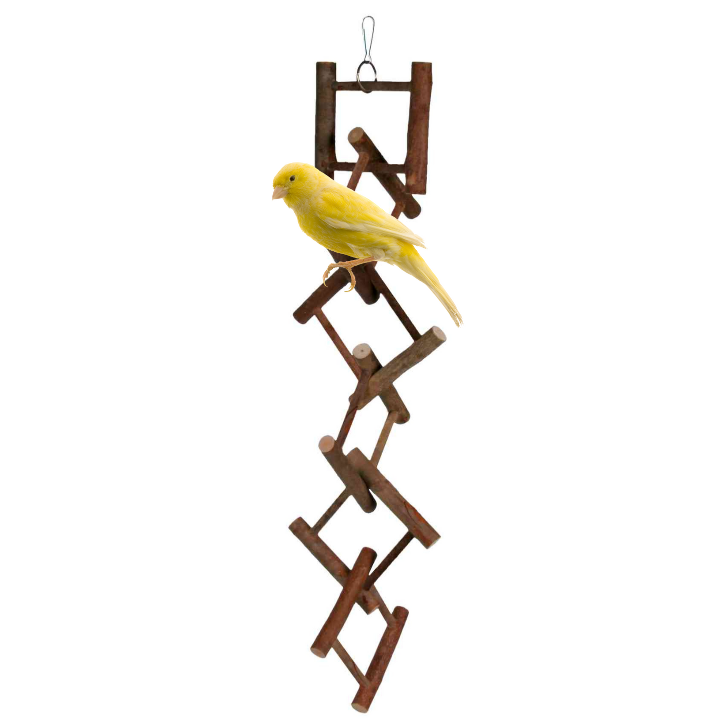 Trixie Natural Living Hanging Ladder - 12 Rung, 58cm - Bird Toy for Canaries & Budgies