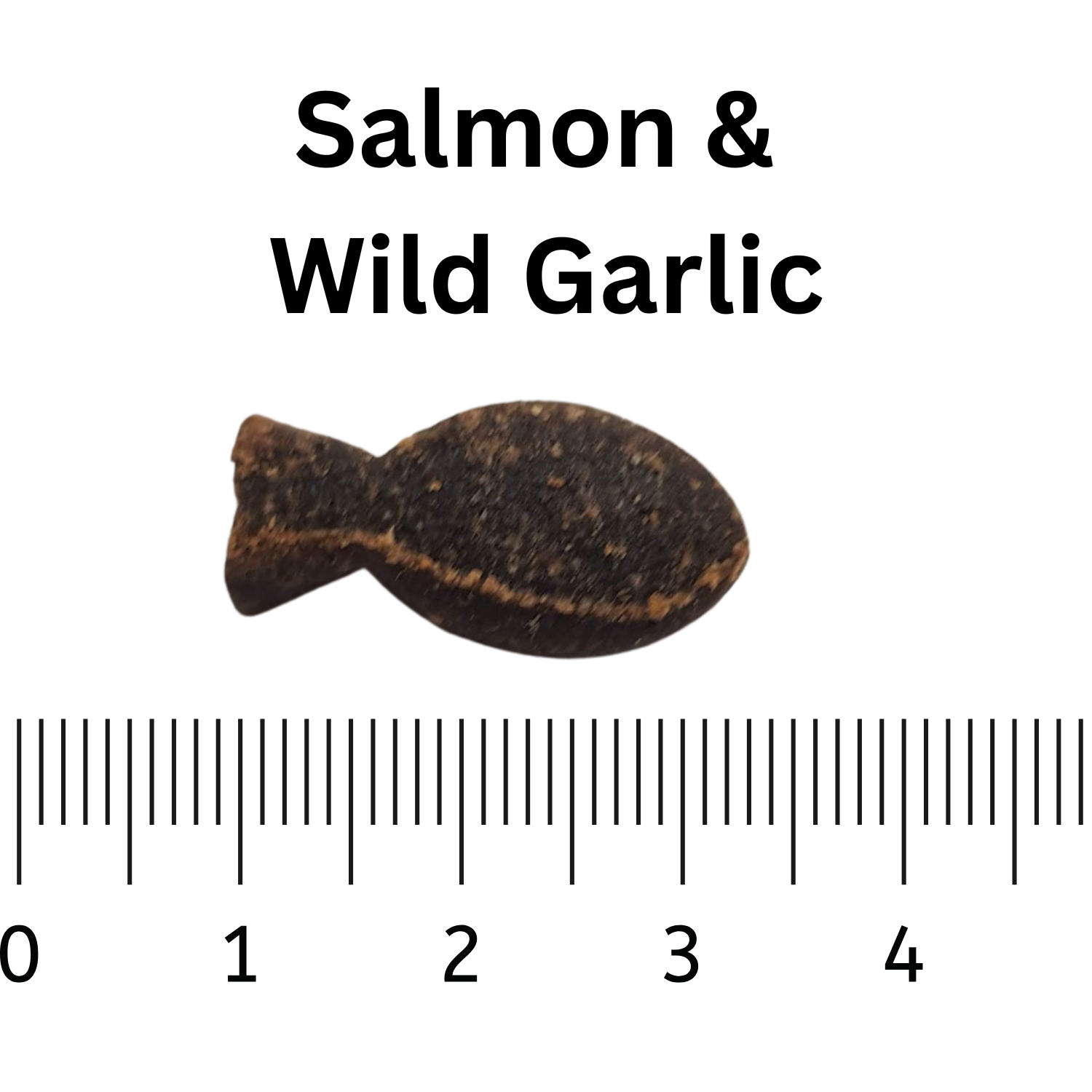 Small fish-shaped dog treat labeled 'Salmon & Wild Garlic' with a ruler at the bottom for scale.