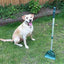 Arms Length | Long Handle Dog Poop Scoop Brush & Shovel