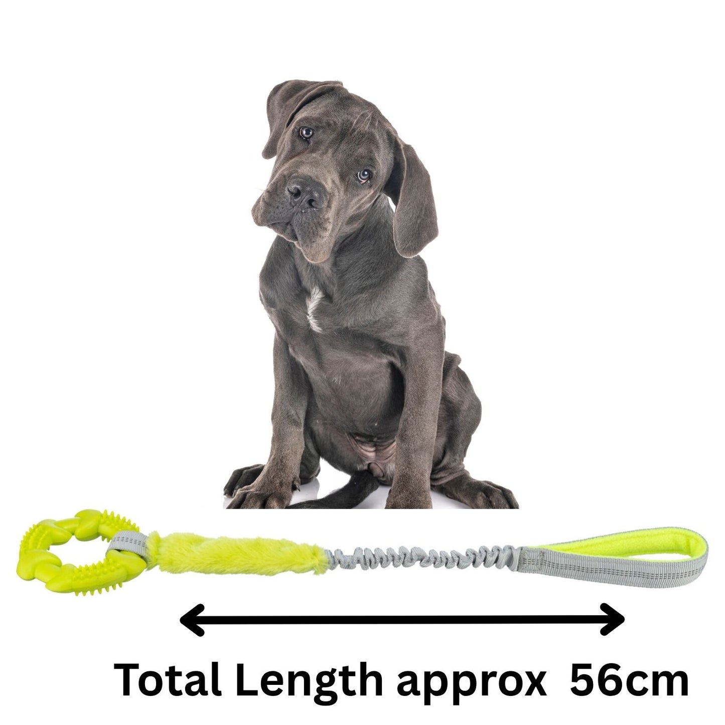 Trixie Tugger TRP Ring Dog Toy | Bungee Handle Tug Sports Toy