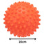Trixie | Large Vinyl Hedgehog Ball | Silent Dog Toy 16cm