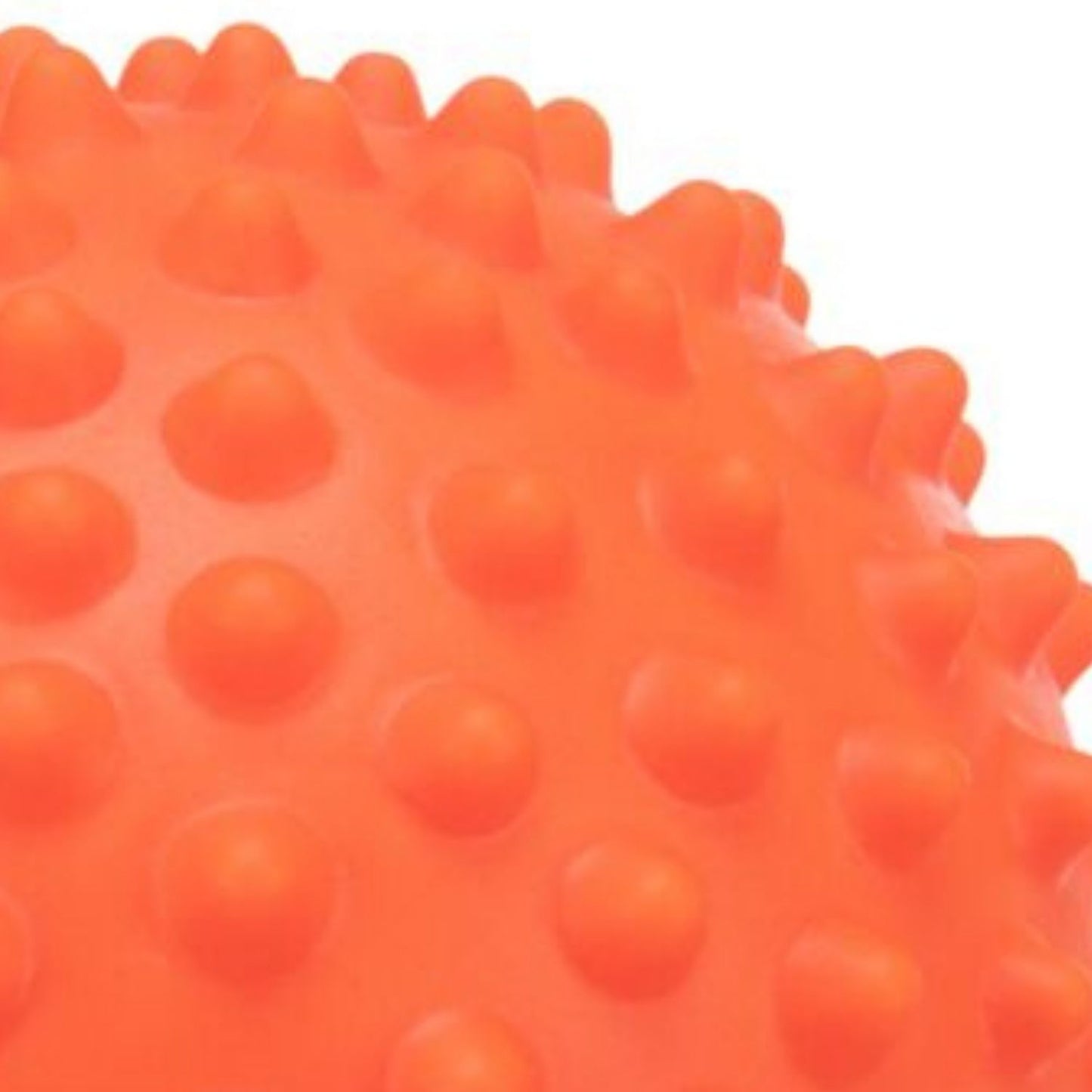 Trixie | Large Vinyl Hedgehog Ball | Silent Dog Toy 16cm