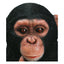 Vivid Arts Baby Chimpanzee Ornament | Realistic Garden Statue | Weatherproof