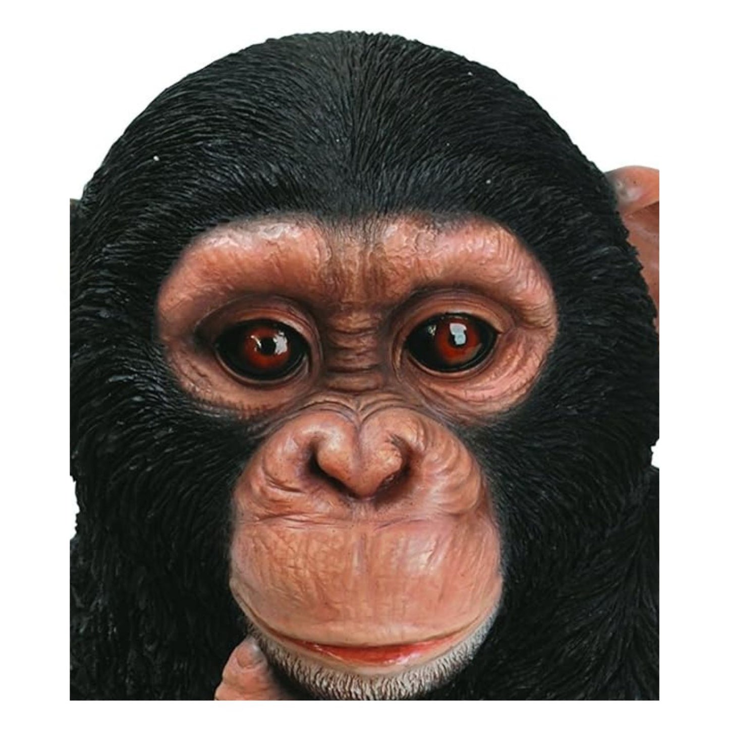 Vivid Arts Baby Chimpanzee Ornament | Realistic Garden Statue | Weatherproof