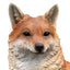 Vivid Arts Fox Cub with Mother A | Realistic Garden Ornament | Weatherproof Fox Statue