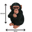 Vivid Arts Baby Chimpanzee Ornament | Realistic Garden Statue | Weatherproof