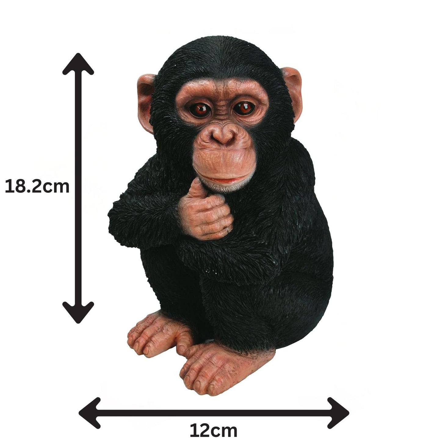 Vivid Arts Baby Chimpanzee Ornament | Realistic Garden Statue | Weatherproof