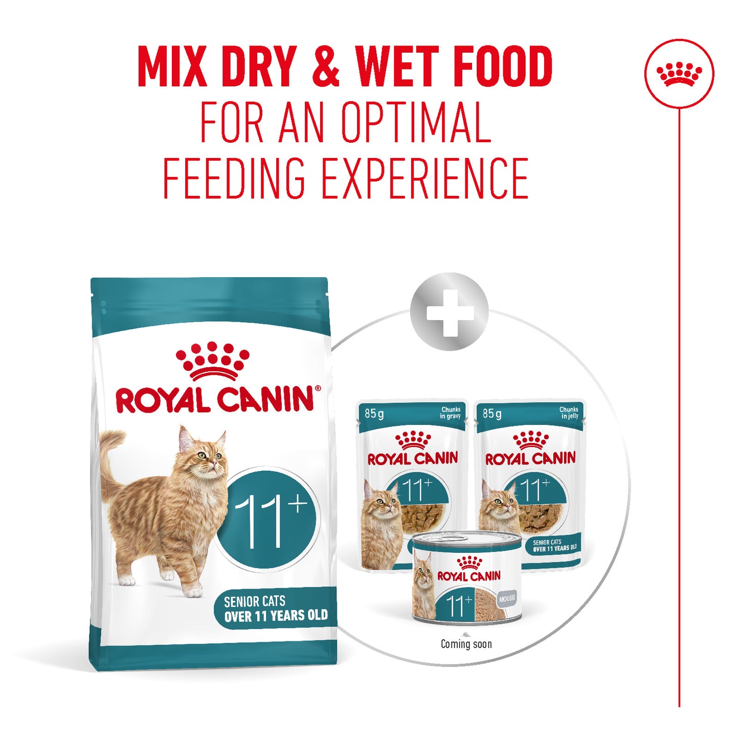 Royal Canin | Ageing 11+ Dry Cat Food | Senior Cat Nutrition | 400g
