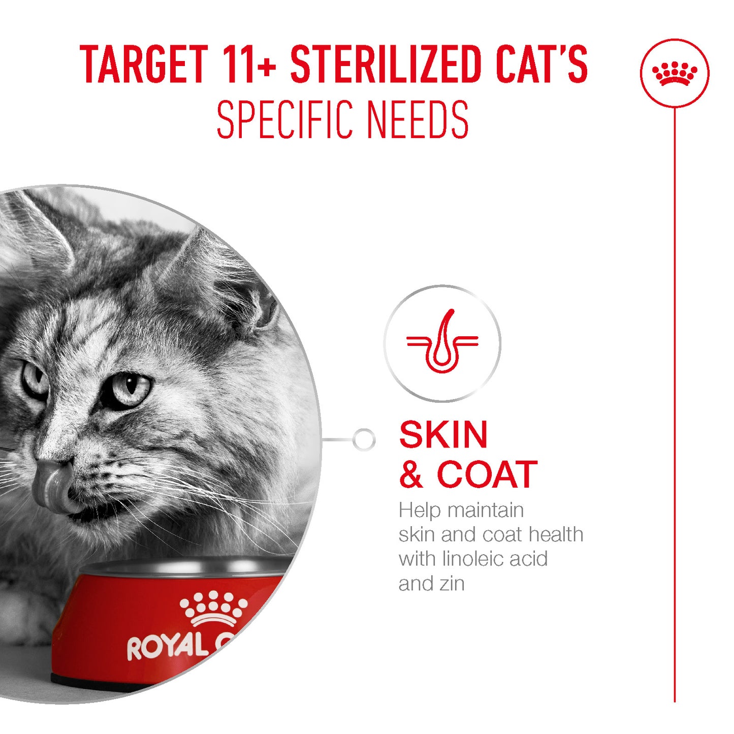Royal Canin | Ageing 11+ Dry Cat Food | Sterilised | Senior Cat Nutrition | 400g