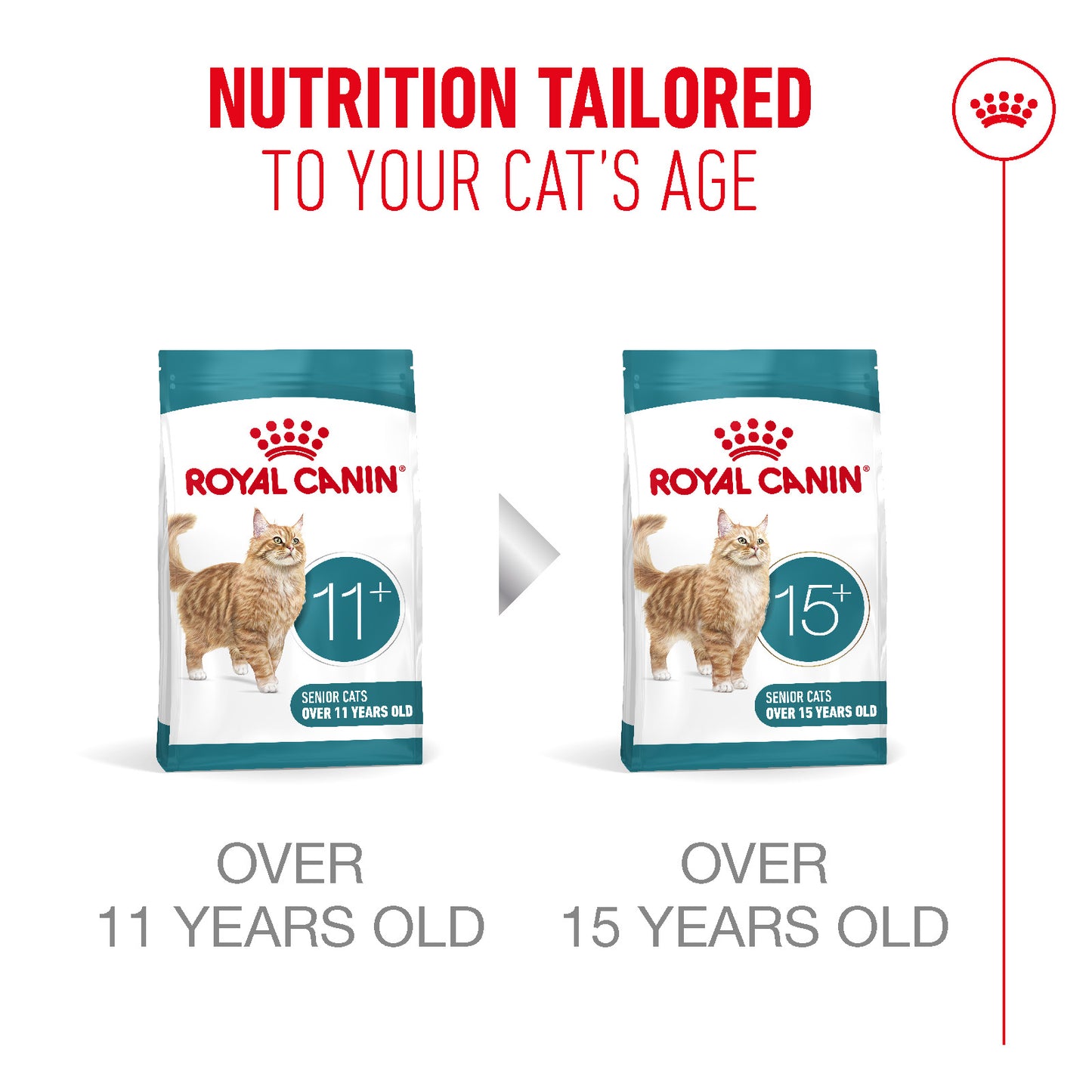 Royal Canin | Ageing 11+ Dry Cat Food | Sterilised | Senior Cat Nutrition | 400g