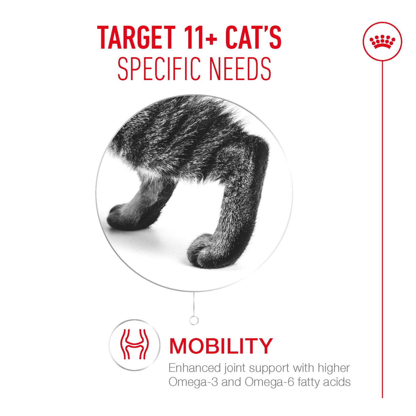 Royal Canin | Ageing 11+ Wet Cat Food Pouch In Jelly | Senior Cat Nutrition | 85g