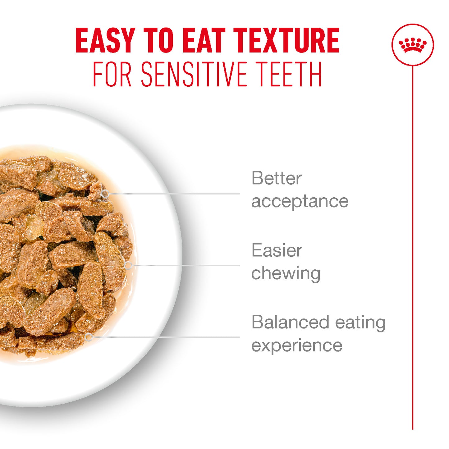 Royal Canin | Ageing 11+ Wet Cat Food Pouch In Jelly | Senior Cat Nutrition | 85g
