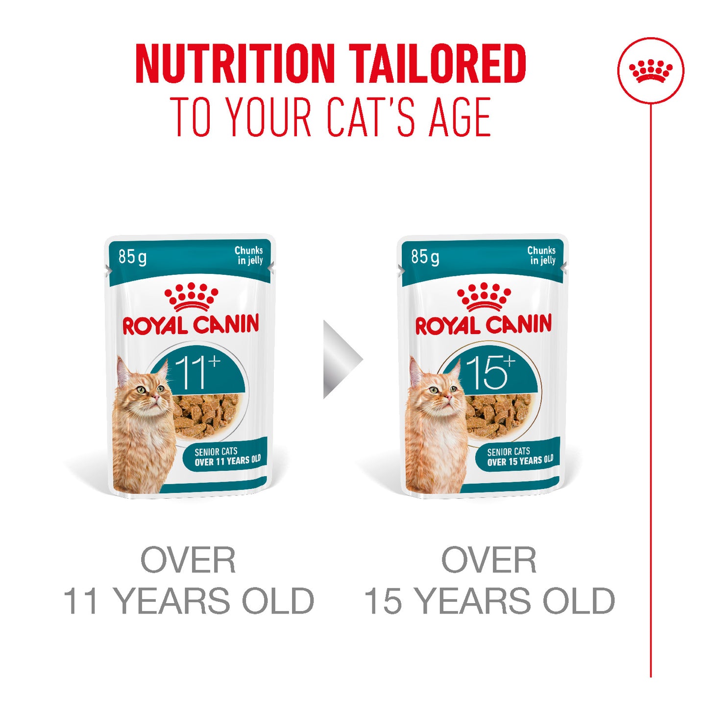 Royal Canin | Ageing 11+ Wet Cat Food Pouch In Jelly | Senior Cat Nutrition | 85g