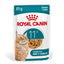 Royal Canin | Ageing 11+ Wet Cat Food Pouch In Jelly | Senior Cat Nutrition | 85g