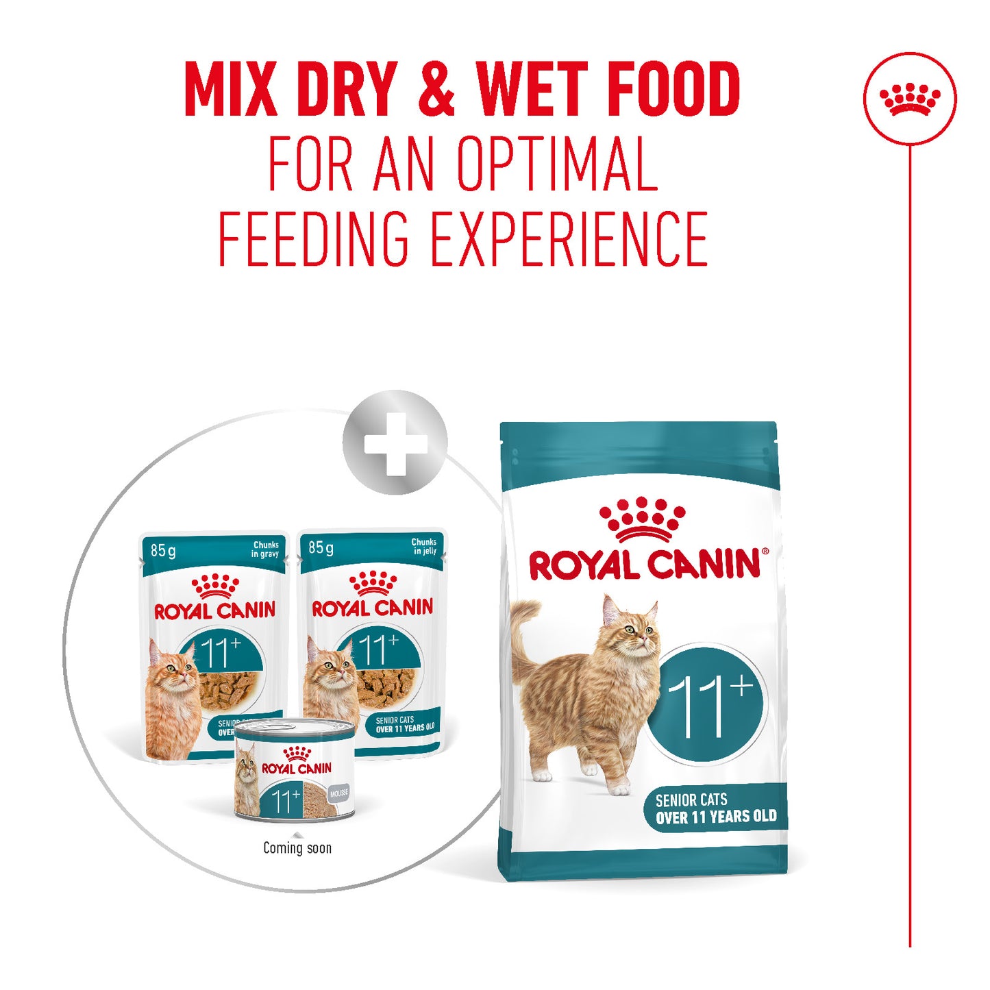 Royal Canin | Ageing 11+ Wet Cat Food Pouch In Gravy | Senior Cat Nutrition | 85g