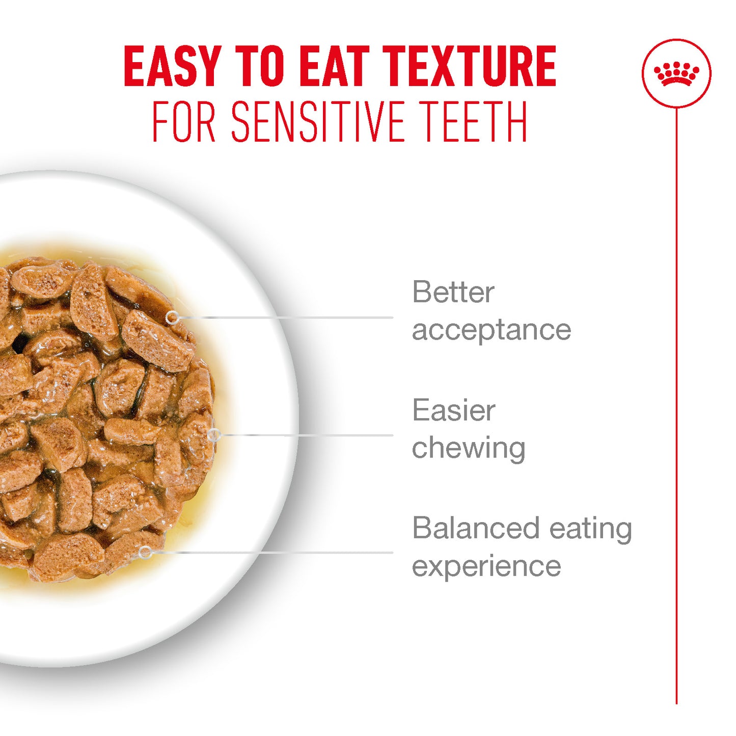 Royal Canin | Ageing 15+ Wet Cat Food Pouch In Gravy | Senior Cat Nutrition | 85g