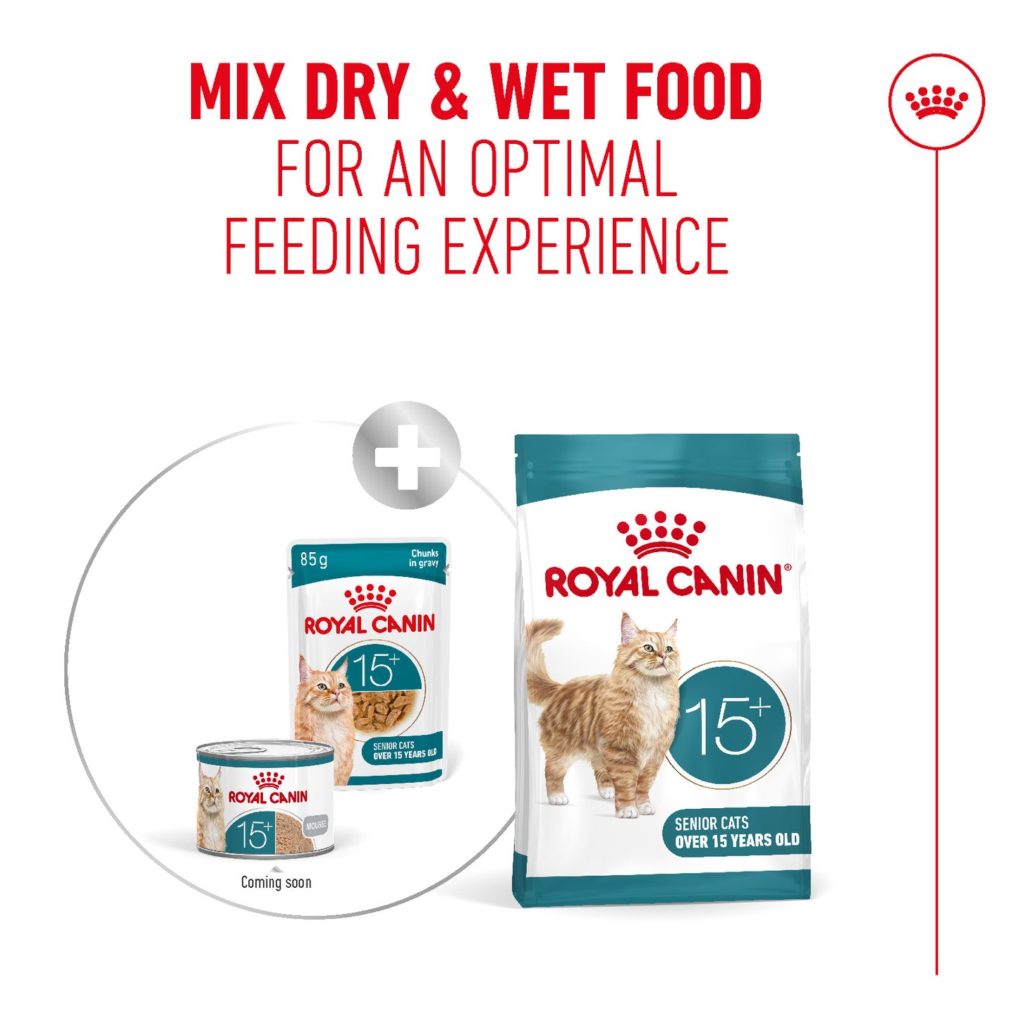 Royal Canin | Ageing 15+ Wet Cat Food Pouch In Gravy | Senior Cat Nutrition | 85g