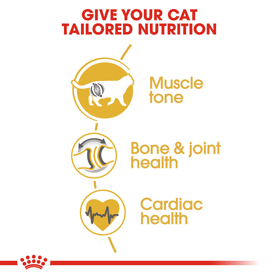 Royal Canin Dry Cat Food British Shorthair / 2kg