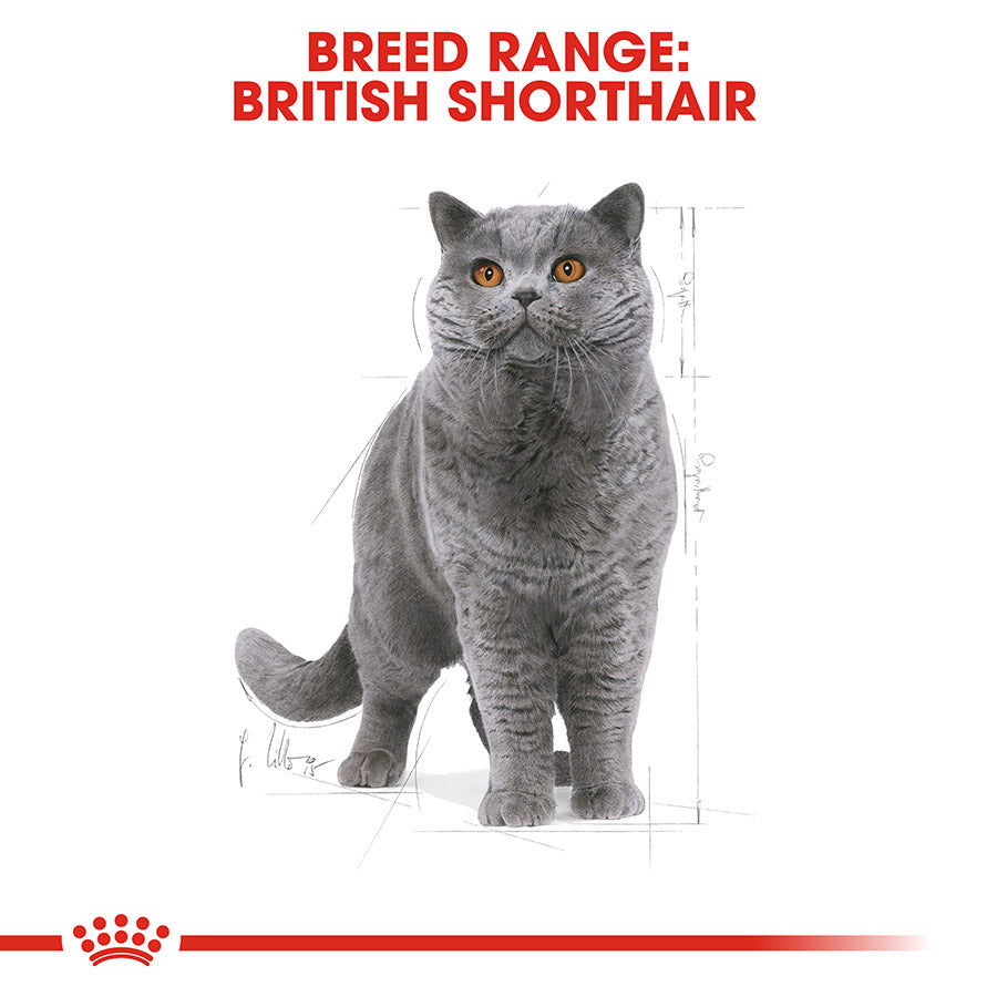 Royal Canin Dry Cat Food British Shorthair / 2kg