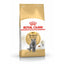 Royal Canin Dry Cat Food British Shorthair / 2kg