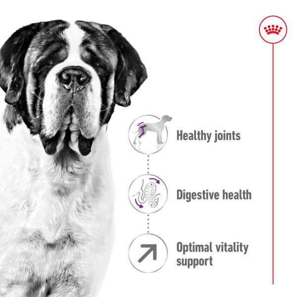 Royal Canin | Size Health Nutrition | Dry Dog Food | Adult Giant Breed - 15kg