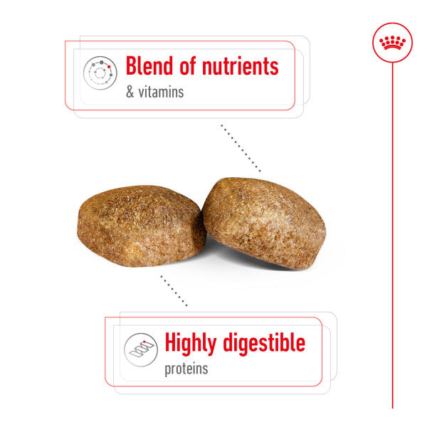 Royal Canin | Size Health Nutrition | Dry Dog Food | Adult Giant Breed - 15kg