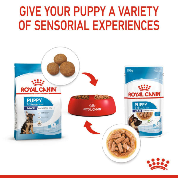 Royal Canin Dry Dog Food Maxi Pet Connection –