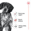 Royal Canin Medium Ageing 10+ 🐕 Size Health Nutrition Dry Dog Food