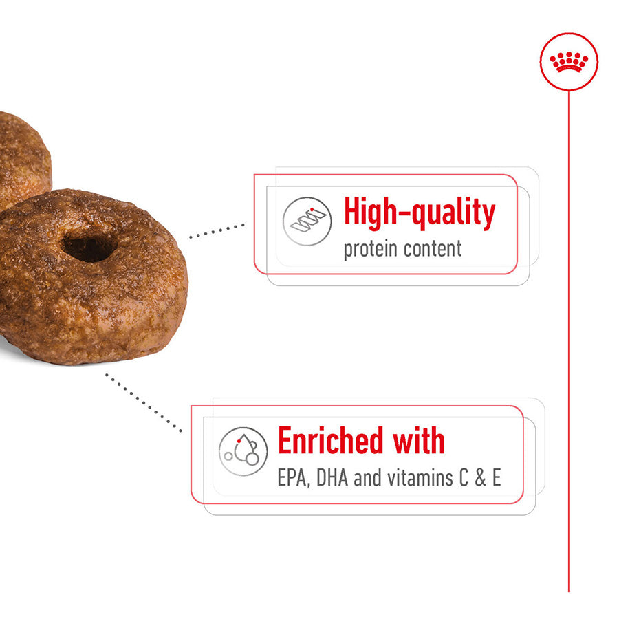 Royal Canin Medium Ageing 10+ 🐕 Size Health Nutrition Dry Dog Food