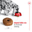 Royal Canin Medium Ageing 10+ 🐕 Size Health Nutrition Dry Dog Food