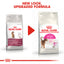 Two packages of Royal Canin Exigent cat food with a red play button graphic.